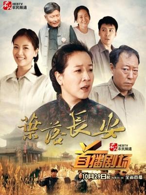 极品网红 脸红Dearie 12.14-主人的小女仆 [40P,2V,215M]